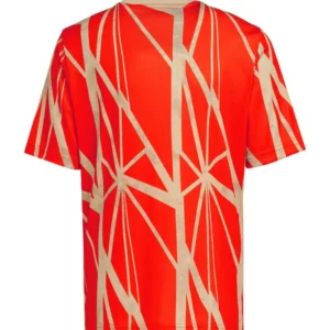 2024/25 bayern munich pre match jersey