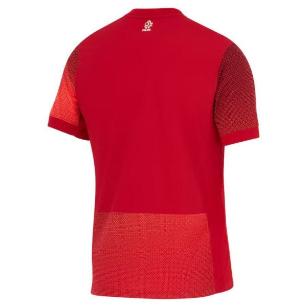 poland away jersey 2024 2025
